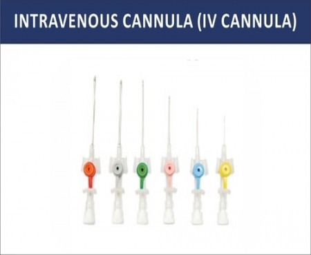IV CANNULA